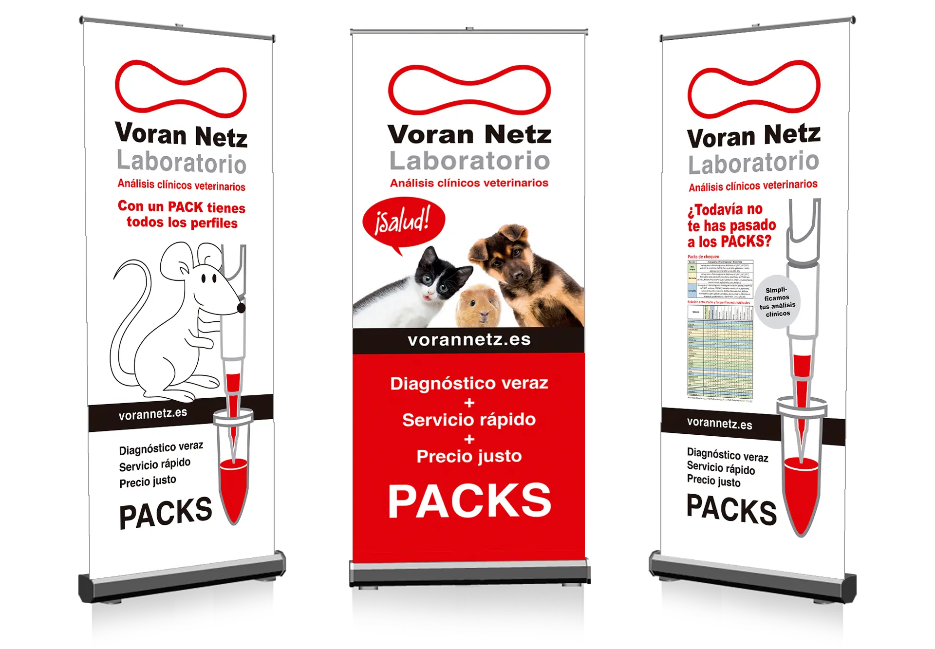 Rollups VORAN NETZ